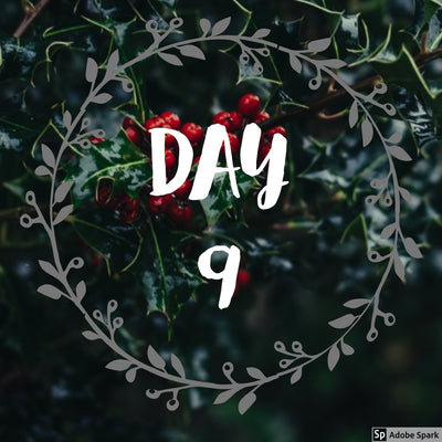 12 Days of Christmas & sales - Day 9!