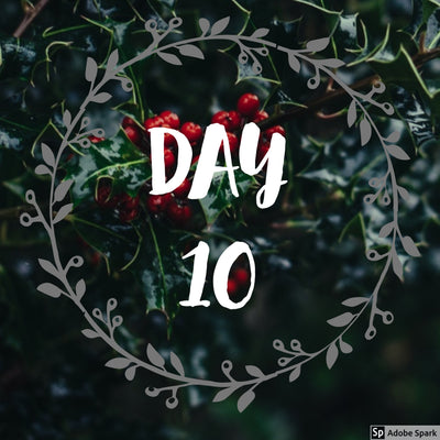12 Days of Christmas & sales - Day 10!