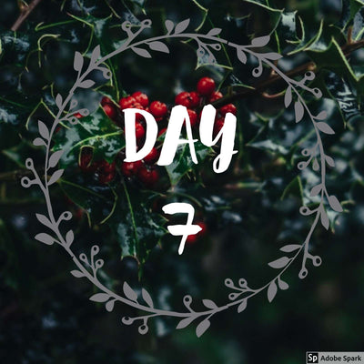 12 Days of Christmas & sales - Day 7!